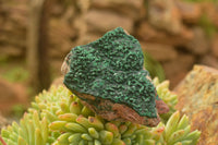 Natural Crystalline Malachite Specimens  x 6 From Tenke Fungurume, Congo - TopRock