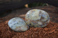 Polished Stunning Dendritic Opal Palm Stones  x 12 From Madagascar - Toprock Gemstones and Minerals 