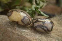 Polished Lovely Mixed Selection Of Palm Stones  x 12 From Madagascar - TopRock