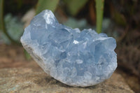 Natural Blue Celestite Crystal Specimens  x 3 From Madagascar - Toprock Gemstones and Minerals 