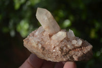 Natural Small Quartz Clusters  x 24 From Madagascar