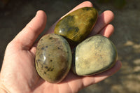 Polished Mixed Selection Of Leopard stone Free Forms   x 10 From Zimbabwe - TopRock