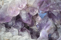 Natural Jacaranda Amethyst Cluster x 1 From Mumbwa, Zambia