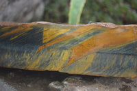 Natural Golden Blue Tigers Eye Specimens  x 2 From Prieska, South Africa - TopRock