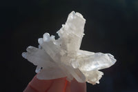 Natural Single Clear Quartz Crystals  x 12 From Mpika, Zambia - Toprock Gemstones and Minerals 