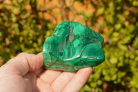 Polished Malachite Free Forms With Stunning Flower & Banding Patterns x 5 From Congo - TopRock