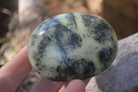 Polished Spotted Leopard Stone Gallets  x 6 From Zimbabwe - Toprock Gemstones and Minerals 