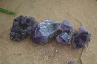 Natural Small Dark Amethyst Clusters  x 37 From Mapatizya, Zambia - Toprock Gemstones and Minerals 