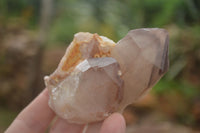 Natural Red Hematoid Quartz Specimens x 12 From Karoi, Zimbabwe - TopRock