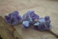 Natural Small Dark Amethyst Clusters  x 37 From Mapatizya, Zambia - Toprock Gemstones and Minerals 