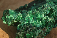 Natural Chatoyant Silky Malachite Specimens  x 2 From Kasompe, Congo