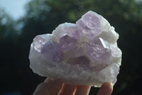 Natural Jacaranda Amethyst Clusters  x 3 From Mumbwa, Zambia - Toprock Gemstones and Minerals 