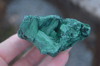 Natural Large Chatoyant Silky Malachite Specimens  x 4 From Kasompe, Congo - Toprock Gemstones and Minerals 