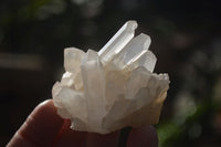 Natural Small Quartz Clusters  x 24 From Madagascar