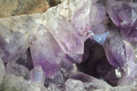 Natural Jacaranda Amethyst Cluster x 1 From Mumbwa, Zambia