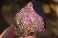 Natural Metallic Purpurite Cobbed Specimens  x 24 From Erongo, Namibia - Toprock Gemstones and Minerals 