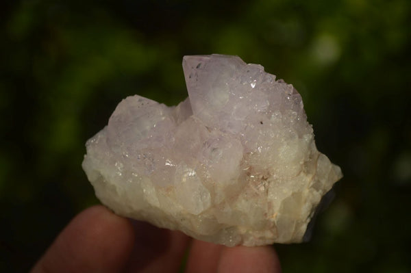 Natural Spirit Amethyst Quartz Specimens x 12 From Boekenhouthoek, South Africa