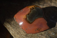 Polished One Side Polished Polychrome Jasper Nodules  x 3 From Madagascar