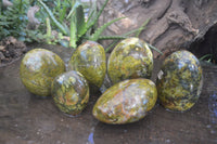 Polished Green Opal Standing Free Forms  x 6 From Antsirabe, Madagascar - Toprock Gemstones and Minerals 