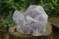 Natural Jacaranda Amethyst Clusters  x 2 From Zambia - Toprock Gemstones and Minerals 