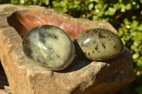 Polished Mixed Selection Of Leopard stone Free Forms   x 10 From Zimbabwe - TopRock