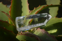 Polished Clear Quartz Crystal Points x 12 From Madagascar