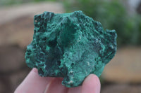 Natural Large Chatoyant Silky Malachite Specimens  x 4 From Kasompe, Congo - Toprock Gemstones and Minerals 