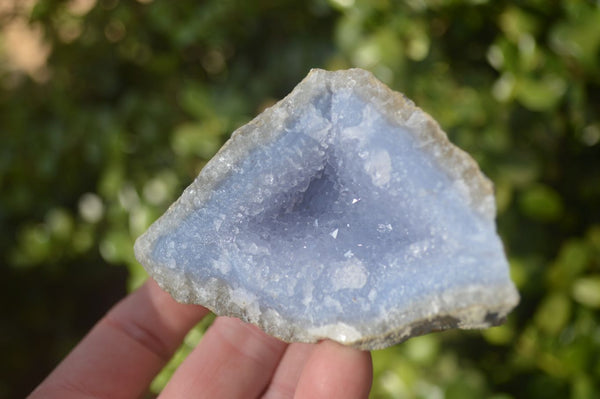 Natural Blue Lace Agate Geode Specimens  x 6 From Nsanje, Malawi