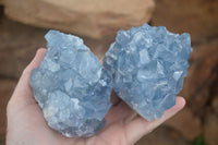 Natural Blue Celestite Crystal Specimens  x 3 From Madagascar - Toprock Gemstones and Minerals 