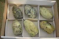 Polished Spotted Leopard Stone Standing Free Forms  x 6 From Zimbabwe - Toprock Gemstones and Minerals 