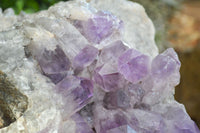 Natural Jacaranda Amethyst Cluster x 1 From Mumbwa, Zambia