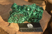 Natural Chatoyant Silky Malachite Specimens  x 2 From Kasompe, Congo