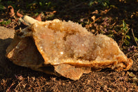 Natural Golden Limonite Quartz Clusters  x 3 From Mwinilunga, Zambia - TopRock