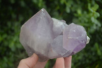 Natural Jacaranda Amethyst Clusters  x 2 From Zambia - Toprock Gemstones and Minerals 