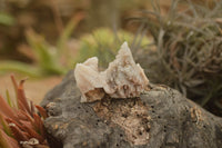 Natural Drusi Quartz Coated Calcite Pseudomorph Specimens  x 35 From Alberts Mountain, Lesotho - TopRock