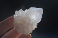 Natural White Spirit Cactus Quartz Crystals  x 24 From Boekenhouthoek, South Africa - Toprock Gemstones and Minerals 