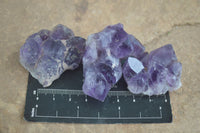 Natural Small Dark Amethyst Clusters  x 37 From Mapatizya, Zambia - Toprock Gemstones and Minerals 