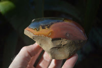 Polished One Side Polished Polychrome Jasper Nodules  x 3 From Madagascar