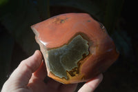 Polished One Side Polished Polychrome Jasper Nodules  x 3 From Madagascar