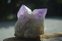 Natural Jacaranda Amethyst Clusters  x 3 From Mumbwa, Zambia - Toprock Gemstones and Minerals 