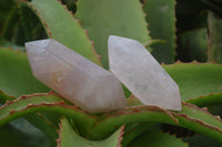 Polished Gemmy Double Terminated Rose Quartz Points x 6 From Antsirabe, Madagascar