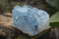 Natural Blue Celestite Crystal Specimens  x 3 From Madagascar - Toprock Gemstones and Minerals 