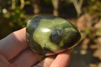 Polished Mixed Selection Of Leopard stone Free Forms   x 10 From Zimbabwe - TopRock