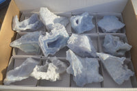 Natural Etched Blue Chalcedony Specimens  x 12 From Nsanje, Malawi