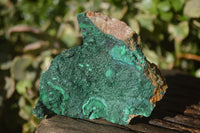 Natural Crystalline Malachite Specimens  x 6 From Congo