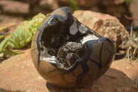 Polished Septerye Sauvage "Dragons Egg" x 1 From Mahajanga, Madagascar - TopRock