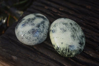 Polished Spotted Leopard Stone Gallets  x 6 From Zimbabwe - Toprock Gemstones and Minerals 