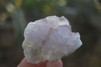 Natural Spirit Amethyst Quartz Specimens x 12 From Boekenhouthoek, South Africa