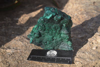 Natural Crystalline Botryoidal Malachite Specimens  x 3 From Congo