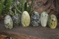 Polished Spotted Leopard Stone Standing Free Forms  x 6 From Zimbabwe - Toprock Gemstones and Minerals 